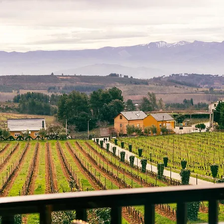 Prada A Tope - Palacio De 4*