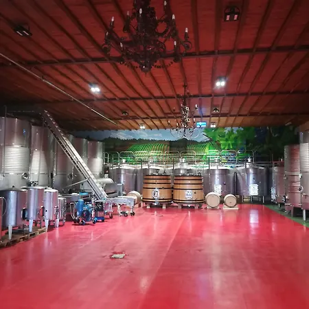 Hotel Prada A Tope - Palacio De Canedo