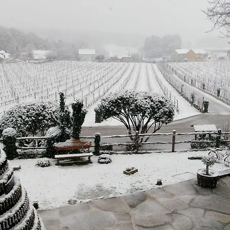 Prada A Tope - Palacio De