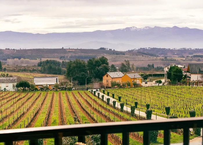 Prada A Tope - Palacio De 4*