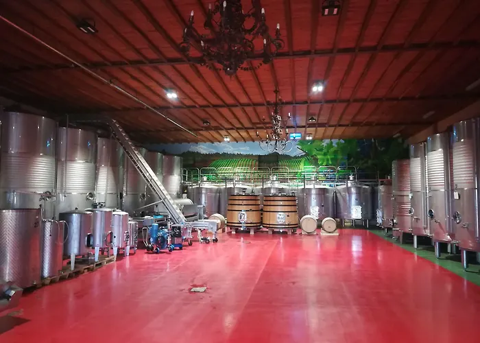 Hotel Prada A Tope - Palacio De