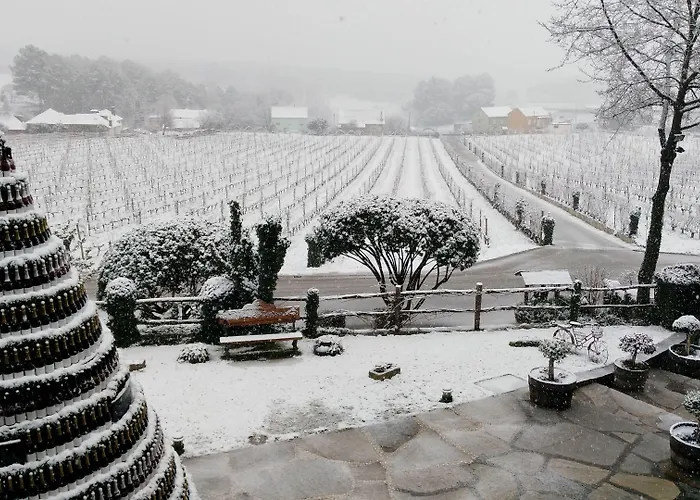 Prada A Tope - Palacio De