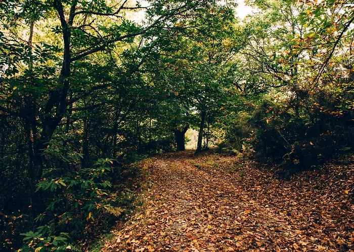 Prada A Tope - Palacio De Canedo (Leon)