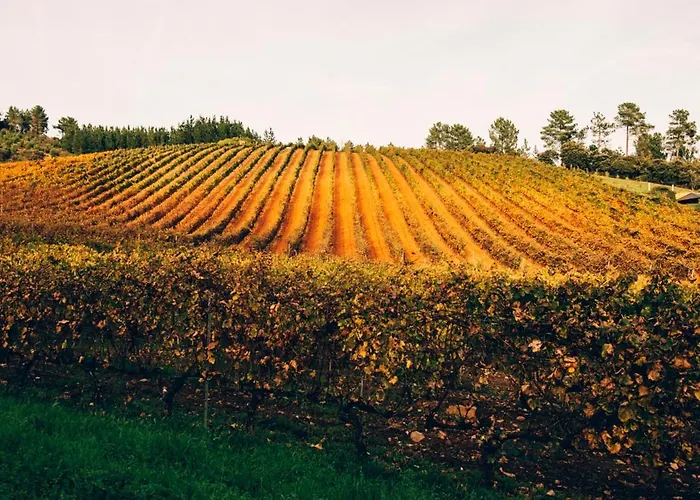 Hotel Prada A Tope - Palacio De 4*